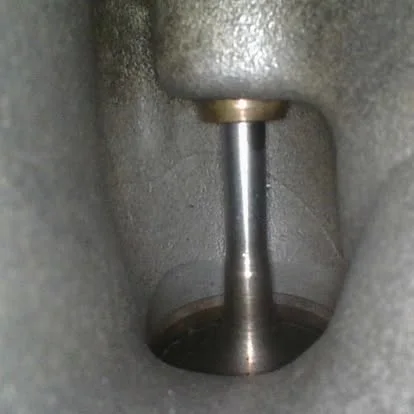 Valve inspection